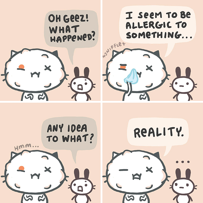 Comic of a cat reacting humorously to reality with a rabbit companion.