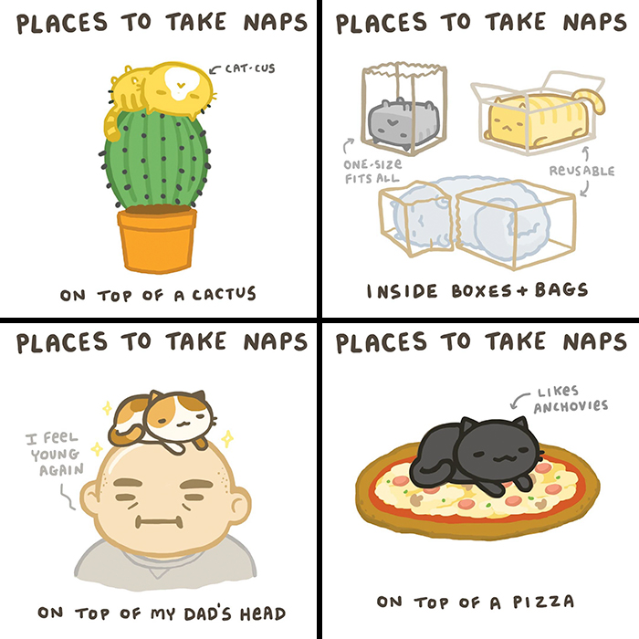 Comics of adorable cats napping on cactus, dad’s head, inside bags, and on pizza.