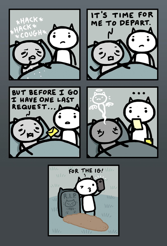 Cat cartoon in a humorous comic strip, capturing adorable moments with funny expressions and a phone for social media.