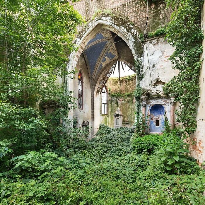 Overgrown greenery envelops an abandoned cathedral, showing nature reclaiming civilization.
