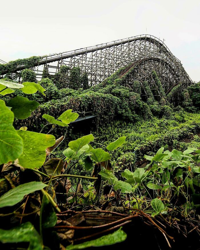 Overgrown roller coaster with lush greenery, illustrating nature reclaiming civilization.