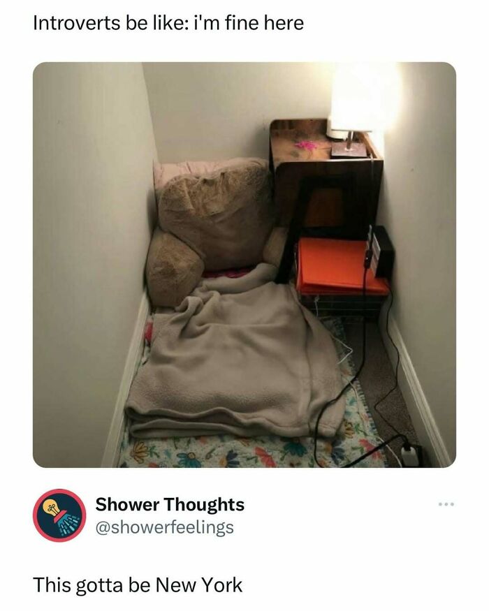 Cozy corner setup with pillows and a lamp, tagged with a funny meme about introverts and New York winter blues.