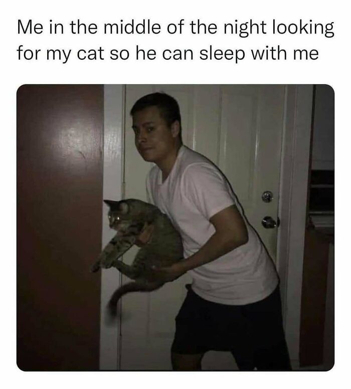 Person holding a cat at night, capturing a funny and random moment with cats.