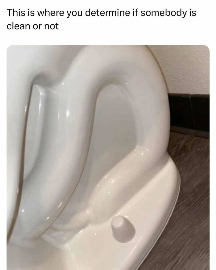 Toilet seat lifted to show underside, with text above reading, "This is where you determine if somebody is clean or not." Random meme humor.