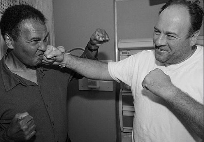 Two men smiling while playfully pretending to box, showcasing the strange nature of internet images.