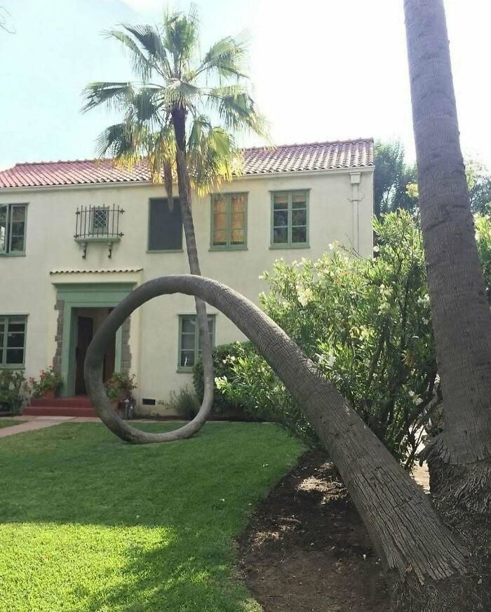 La vida encuentra un camino