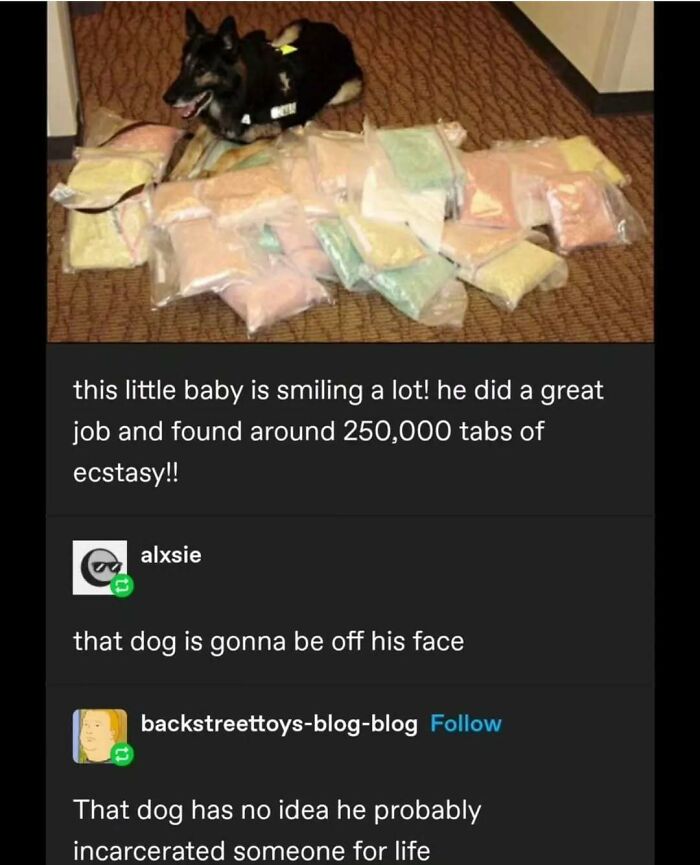 A police dog with bags of e*****y, showcasing the humorous side of Tumblr posts.