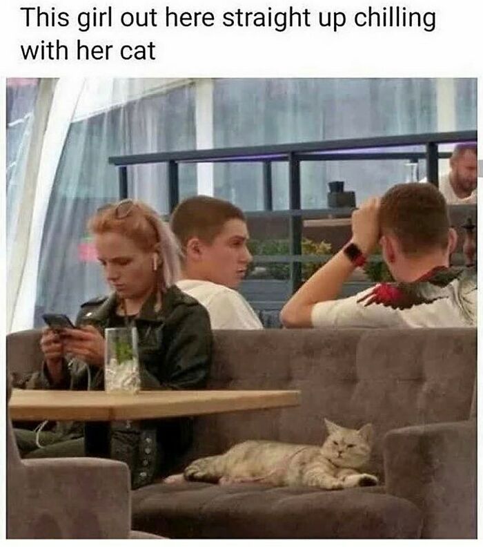 Young woman at cafe scrolling on her phone, while a relaxed cat lounges beside her.