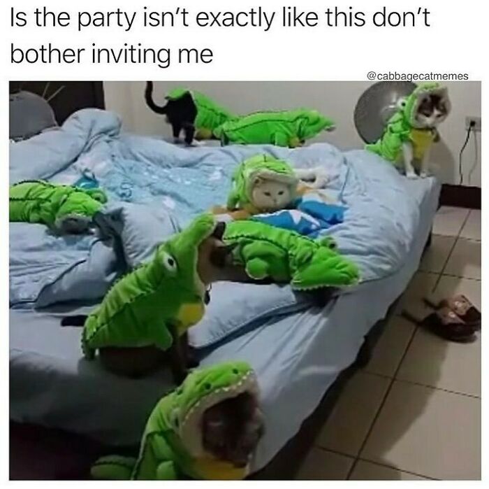 Cats in alligator costumes on a bed, creating a hilariously random scene.