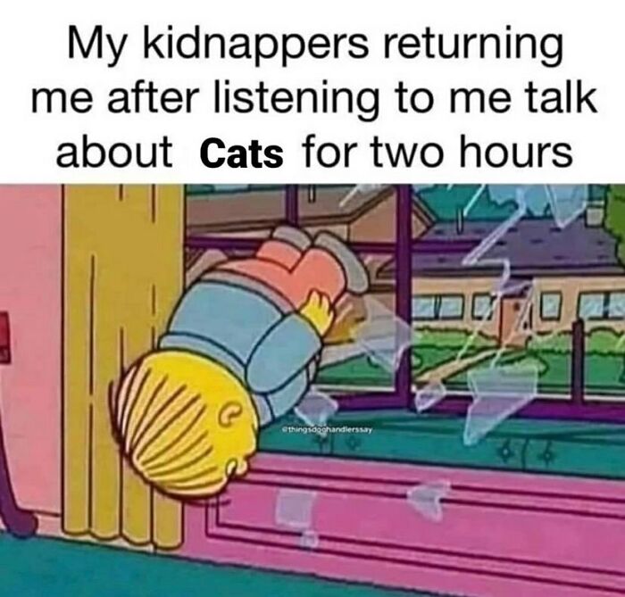 Cartoon character humorously thrown out a window after talking about cats.