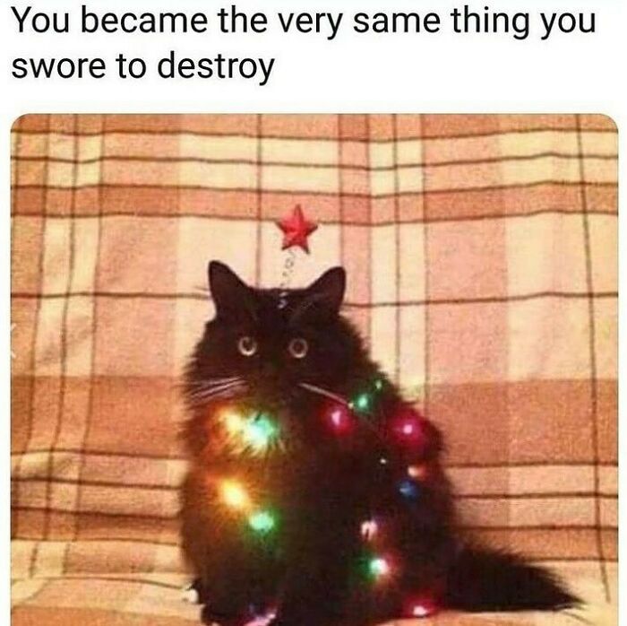 Fluffy black cat adorned with colorful lights, humorously resembling a Christmas tree.