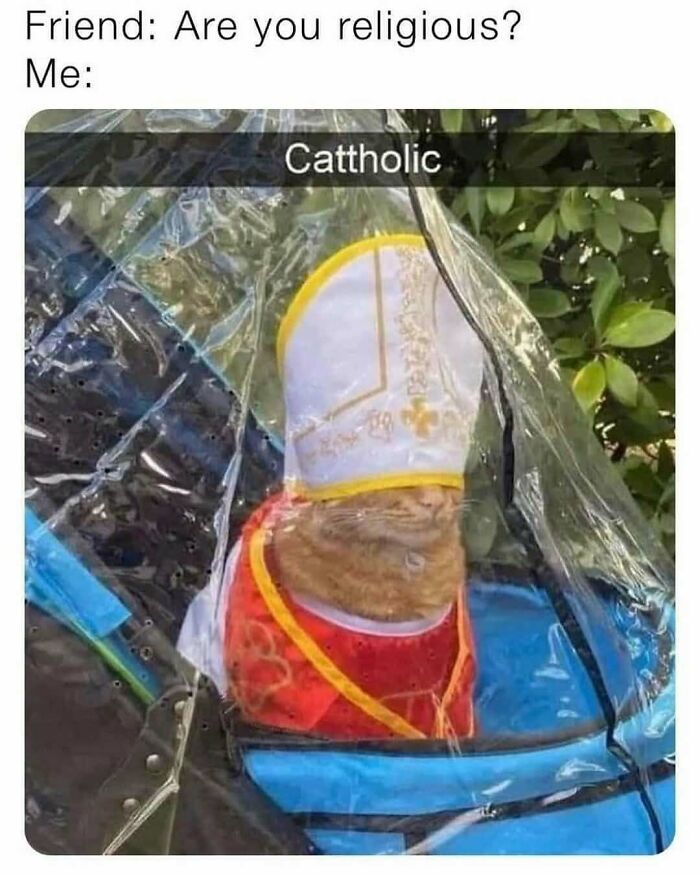 Cat dressed as a pope under rain cover with text "Are you religious? Cattholic," from Stuff With Cats.
