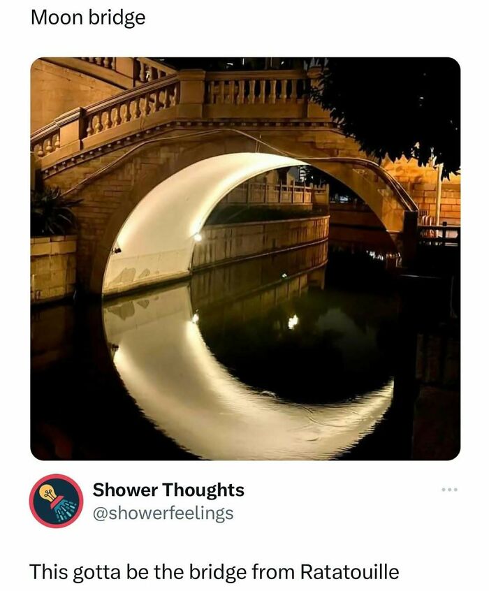 Illuminated bridge at night reflected in water, resembling a full moon; a hilariously random meme moment.