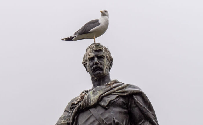 Bird sitting on statue's head, related to superstitions about luck and bird droppings.