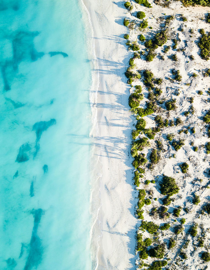 Aerial view of a pristine beach with turquoise water meeting sandy shoreline. Aerial view of a pristine beach with turquoise water meeting sandy shoreline.