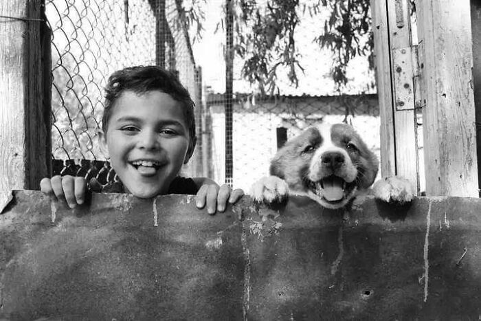 Childhood innocence captured in black and white: a smiling boy and a dog peeking over a fence.