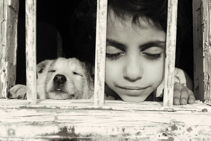 Child and puppy behind bars, eyes closed, illustrating childhood's innocence and resilience in black and white.