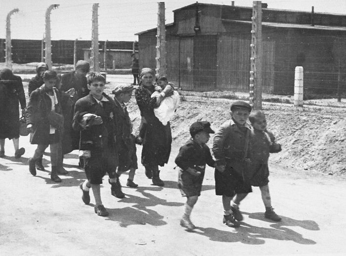 Jewish Children Holding Hands As They Unknowingly Walk To Their Deaths In The Gas Chambers At Auschwitz