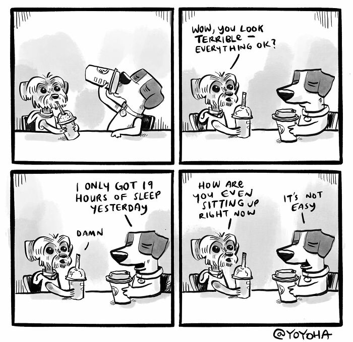 Two dogs in a satirical comic discuss sleep deprivation with drinks on a table.