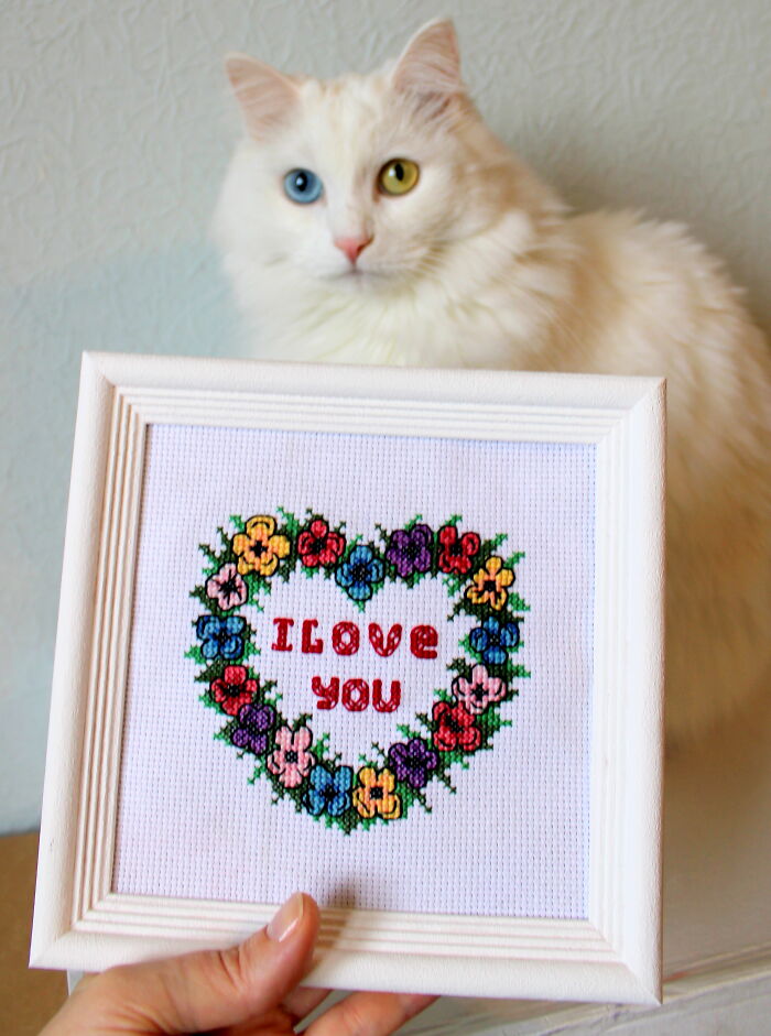 Cross stitch pattern of a heart with flowers and "I Love You," held in front of a cat with heterochromia.