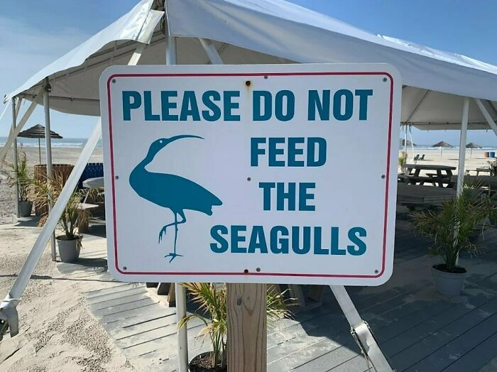Sign with a heron image reads "Please Do Not Feed The Seagulls," exemplifying a design fail.
