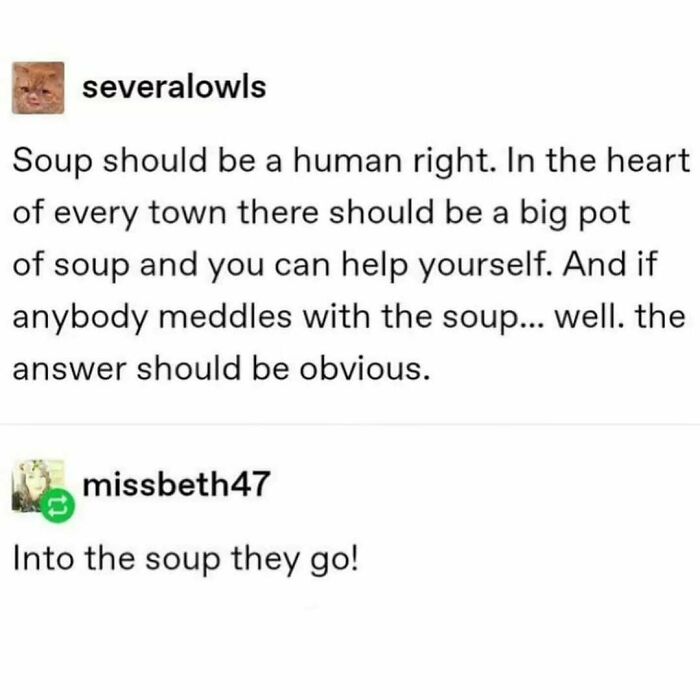 Tumblr post humorously discussing soup as a human right with a witty comment.