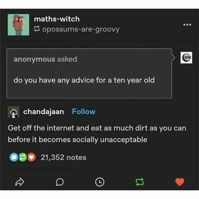 Funny Tumblr post with humorous life advice to a ten-year-old about eating dirt before it becomes socially unacceptable.