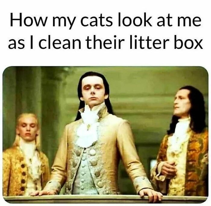 Three people in historical costumes, captioned with humor about cats and a litter box.