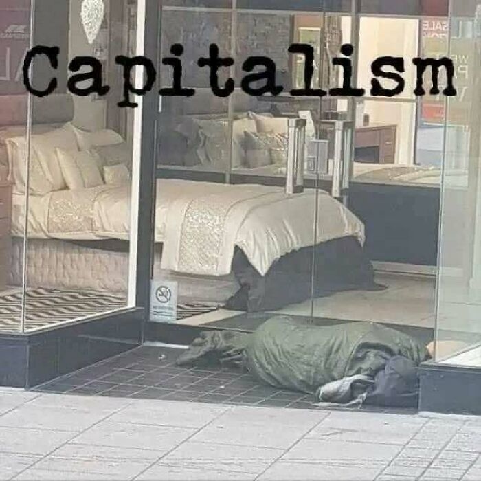 A homeless person sleeps outside a store with beds displayed inside, highlighting anti-capitalism themes.