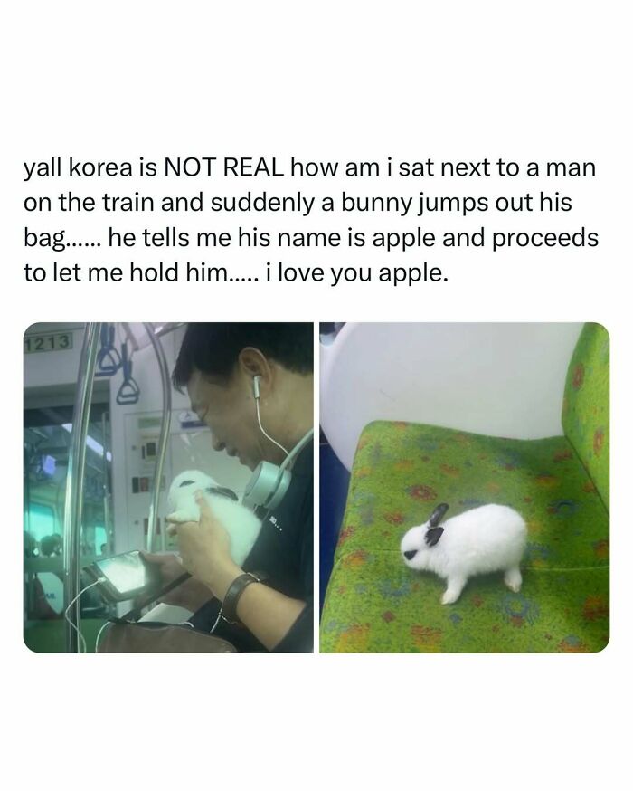 Man holding a bunny on a train; bunny bringing joy to the day.