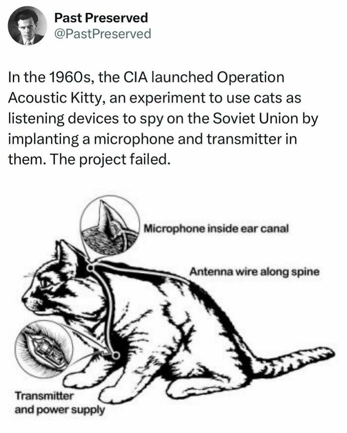 Diagram of a cat from Operation Acoustic Kitty with labeled spy equipment, illustrating an interesting historical fact.