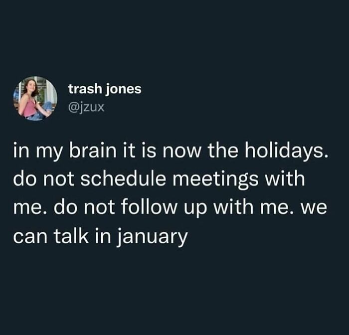 Humorous resources meme about skipping meetings during holidays, with text declaring a mental holiday break until January.