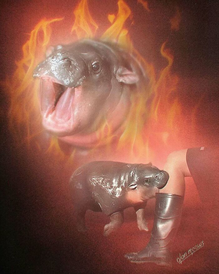 Retratos de mascotas estilo años 80 por Olan Meows