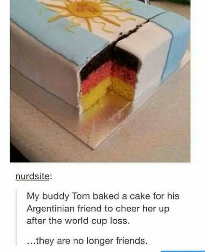Cake with Argentina flag icing reveals German flag inside, highlighting Tumblr's funny and wild posts.