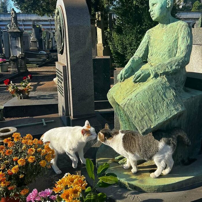 Two cute cemetery cats interact near flowers and a green statue in a peaceful graveyard setting.