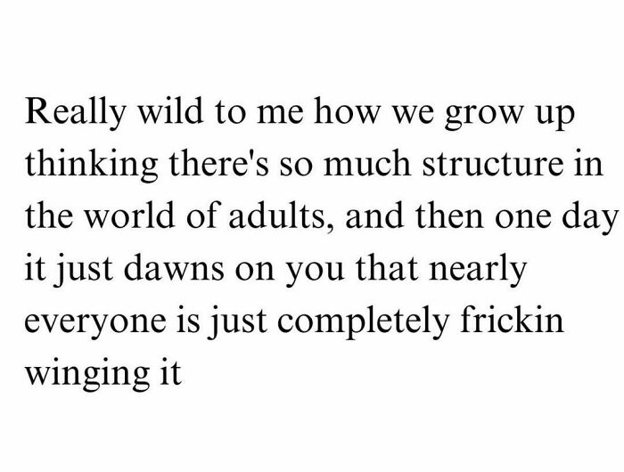 Text meme about today's workforce revealing adults are often winging it, expressing humor and relatability.