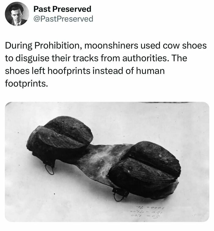 Cow shoes used by moonshiners during Prohibition to leave hoofprints, illustrating intriguing historical facts.
