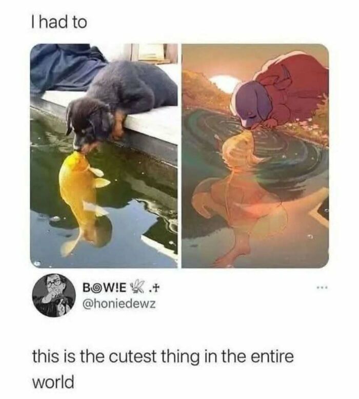 Dog and fish touching noses by a pond, with an artistic illustration beside it, highlighting funny Tumblr content.