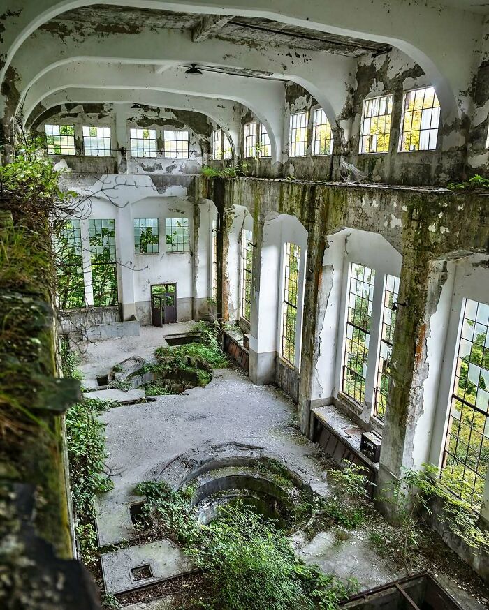 Abandoned industrial hall with plants growing inside, showcasing nature reclaiming civilization.