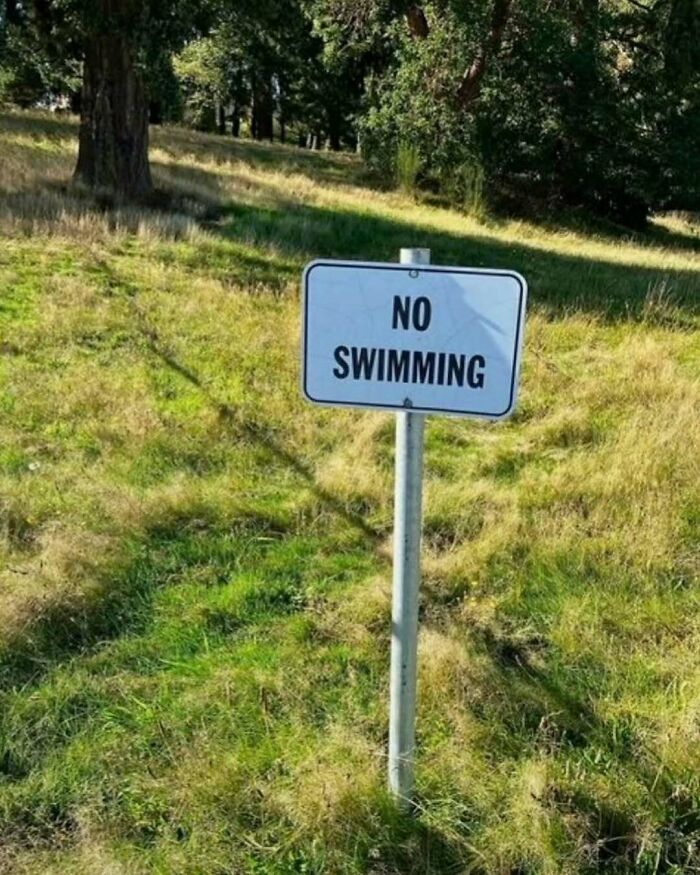 Unique garden feature: a "No Swimming" sign in grassy area.