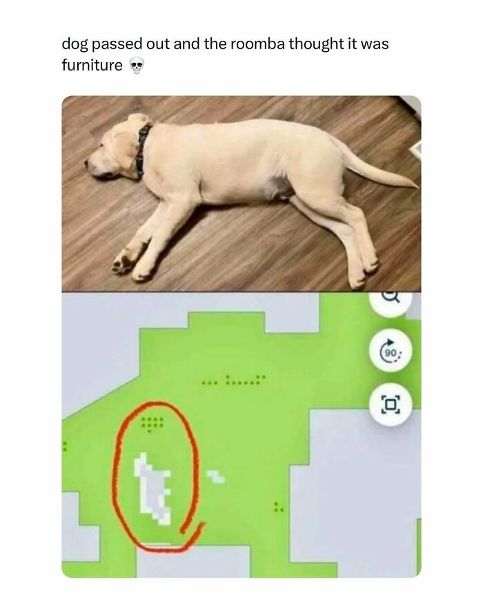 Dog lying on the floor with a Roomba map showing it as furniture, a heartwarming meme.