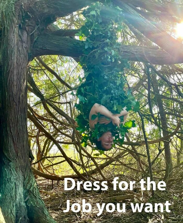 Person camouflaged in tree, covered in leaves, showcasing unique garden creativity.