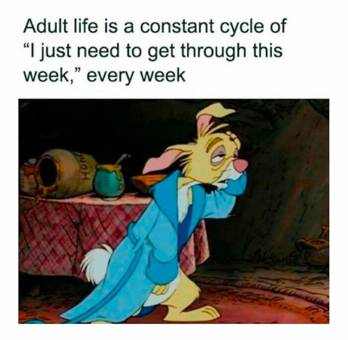 Sleepy rabbit in a robe humorously illustrates adult life cycle for memes shared by "Women Behaving Badly."