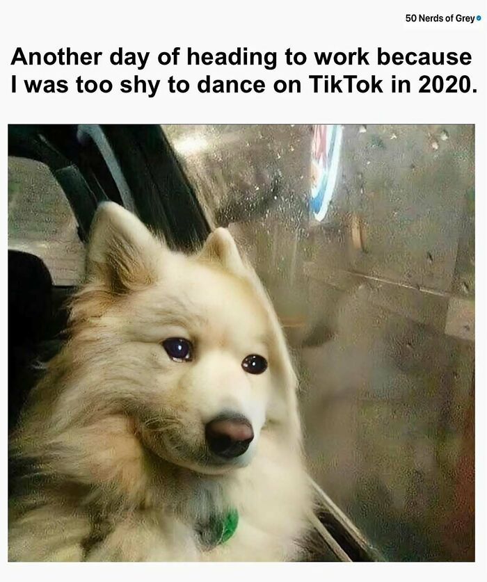 Sad-looking dog meme with text about heading to work, related to "50 Nerds Of Grey."