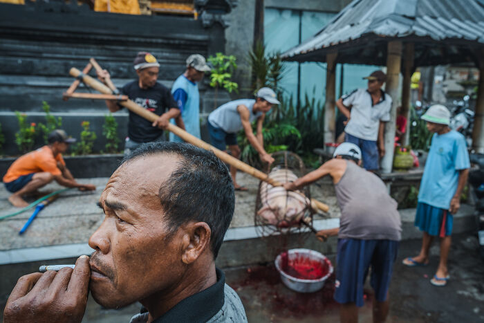 Men preparing for Galungan celebration in Bali, focusing on traditional activities, with one man in the foreground smoking.