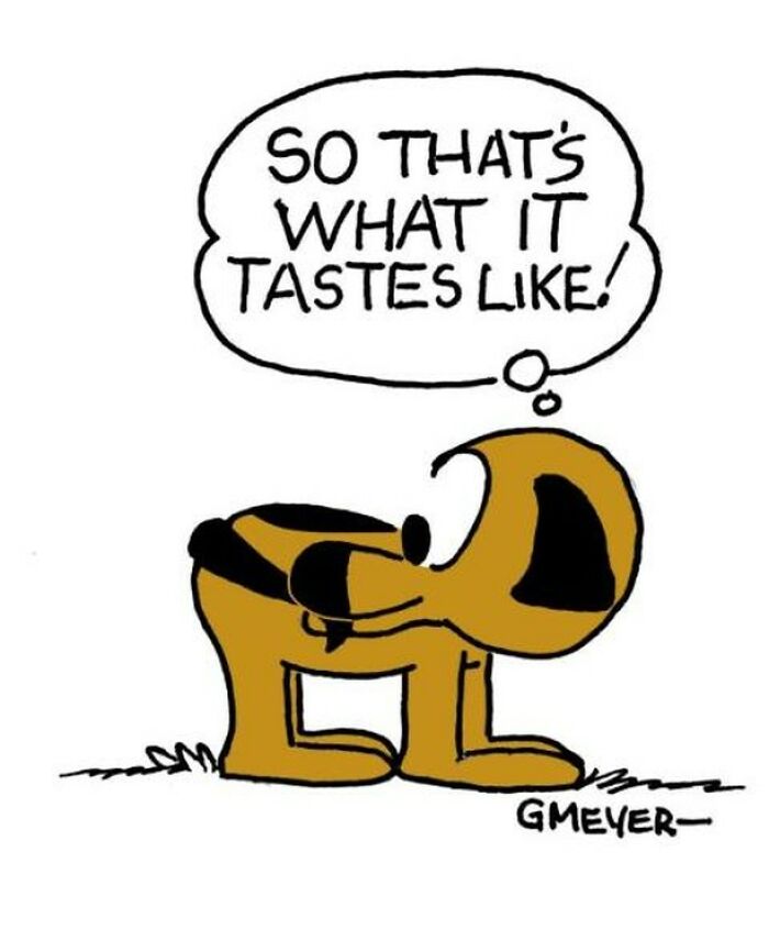Cartoon dog by GMeyer with thought bubble, "So that's what it tastes like!" Illustrating life with a dog comic.