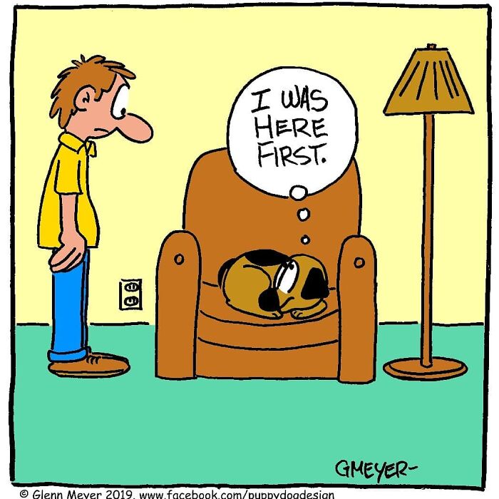 Comic by GMeyer of a dog on a chair thinking, "I was here first," as a person stands nearby.