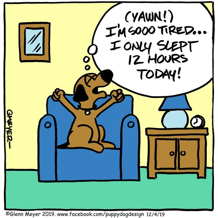 Comic by GMeyer featuring a yawning dog on a blue chair, thinking about being tired after only 12 hours of sleep.