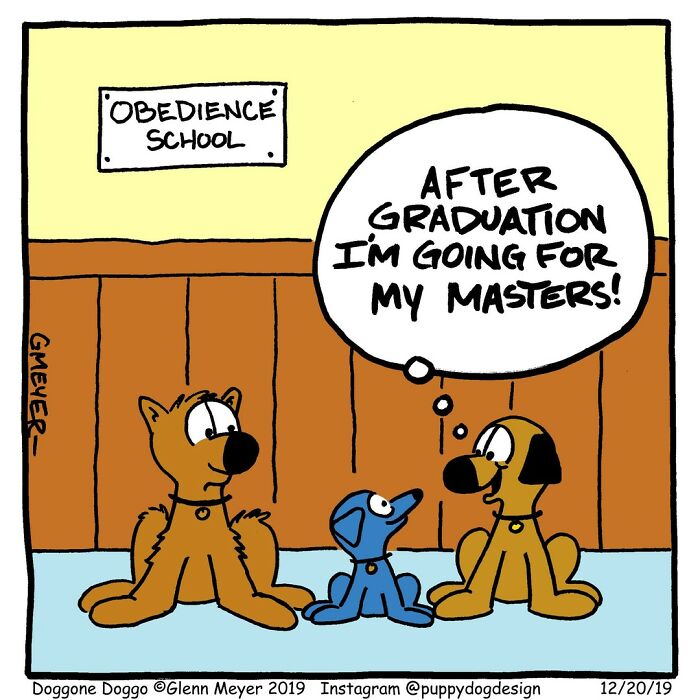 Three dogs sitting in an obedience school class; one jokes about pursuing a master's degree.