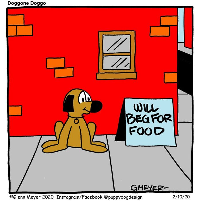 Doggos, Laughs, And A Dash Of Truth: The Humor Of Gmeyer